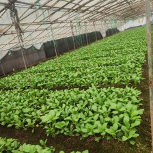 永会蔬菜瓜果基地