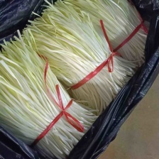 苏北地区 精品地窖韭黄 头茬 40-50 货源充足