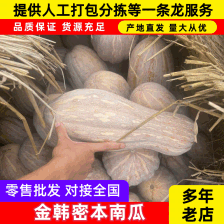 精品养殖南瓜，大量对接养猪 养牛 厂，食品加工厂、食堂！