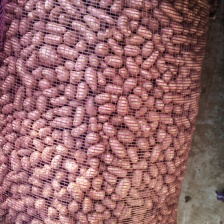 <font color=red>山药</font>豆