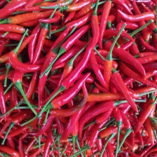 云南新鲜小米椒朝天椒美人椒原产地打包全国发货
