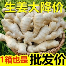 精品大黄姜，产地供应，沙土姜/水洗姜