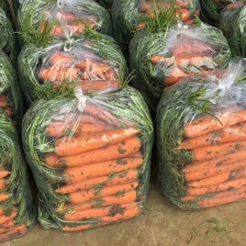 安徽精品胡萝卜 产地直供 对接批发市场 电商美团 拼多多