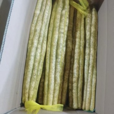 常年收购铁棍山药白玉山药欢迎致电电话报价为准