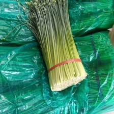 韭苔，产地手工现摘，