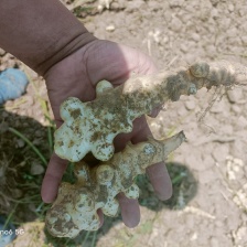 新鲜洋姜鬼子姜菊芋头野生沙地当季姜不辣腌泡菜酱菜整箱包邮