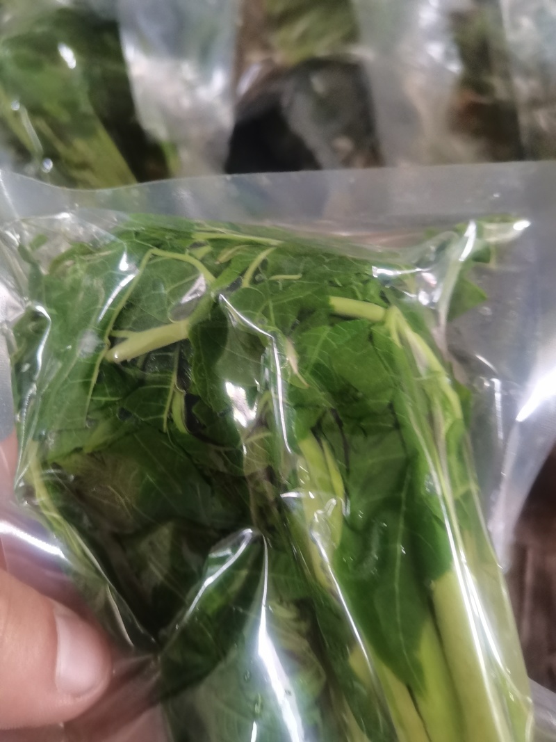 商用袋装香椿咸菜公司货源充足，250克和500克两个规格