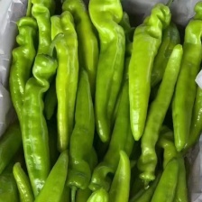 〔实力〕螺丝椒山东辣椒对接市场电商货，团购，一条龙服务代