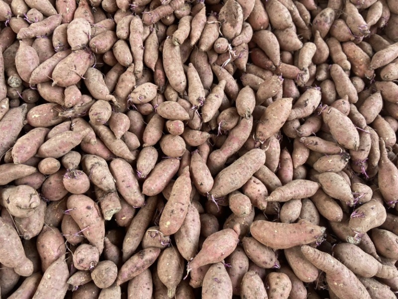 商署19，徐署19，徐署18，厂货大