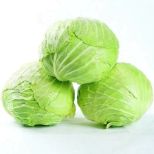 精品甘蓝 中甘甘蓝 中甘 圆包菜 可视频看货欢迎来电采购