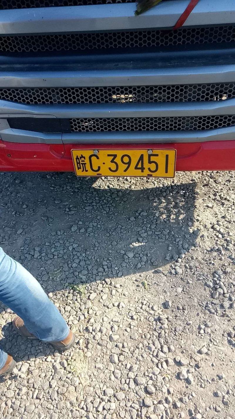 法国皇后<font color=red>芹菜</font>出售，，寿光西芹价格稳定