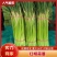 精品红帽蒜薹大量供应中 产地一手货源 对接全国商超市场等
