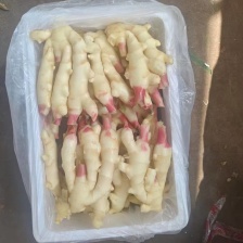 山东大黄姜，鲜姜大量上市 代储存 基