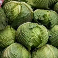 （基地直供）精品甘蓝，2斤左右，圆包，一手货源