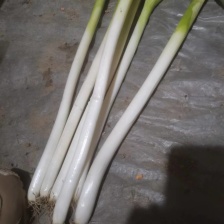 湖南新鲜野胡葱现摘现发当天发货天然野生胡葱