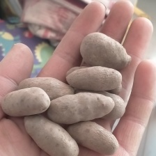 河北蠡县山药豆大量货源 规格齐全  产地代办代发欢迎联系