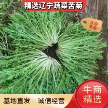 黄心菊