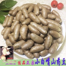 山东山药豆（白玉）质量好产地代发全国各地需要的联系