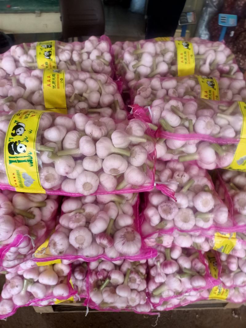 山东大蒜【热卖】新鲜扒皮蒜5cm起步，质量保证可代发全国