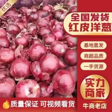 甘肃金武地区红皮，紫皮，黄皮洋葱，现已陆续上市，有意向的