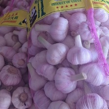 山东大蒜，精品扒皮大蒜白皮蒜，对接电商市场商超大量现货可