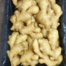 聚缘果蔬产地代发