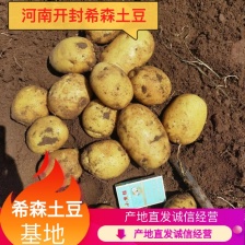 土豆，支持各种规格，各种包装。各大平台