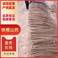 双棒山药大量有货