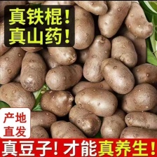 <font color=red>山药</font>豆山东聊城白玉<font color=red>山药</font>豆，量大从优，