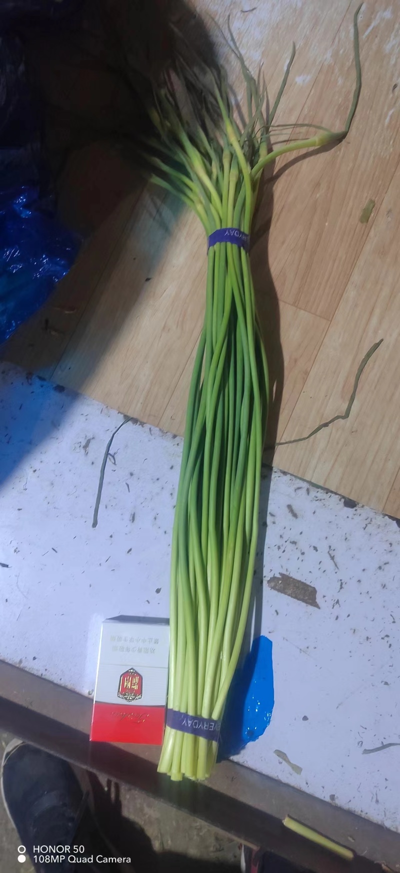 蒜苔 金乡蒜苔 全国发货 ，质量好