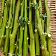 襄菜源供应链管理有限公司