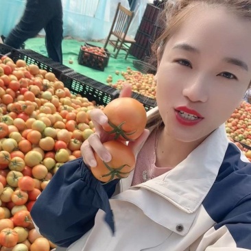 N电商西红柿/山东西红柿/社团拼多多/河马/ 淘菜菜/