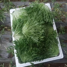 好货不等人，抓紧下单