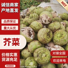 带叶子的芥菜！大量有货！