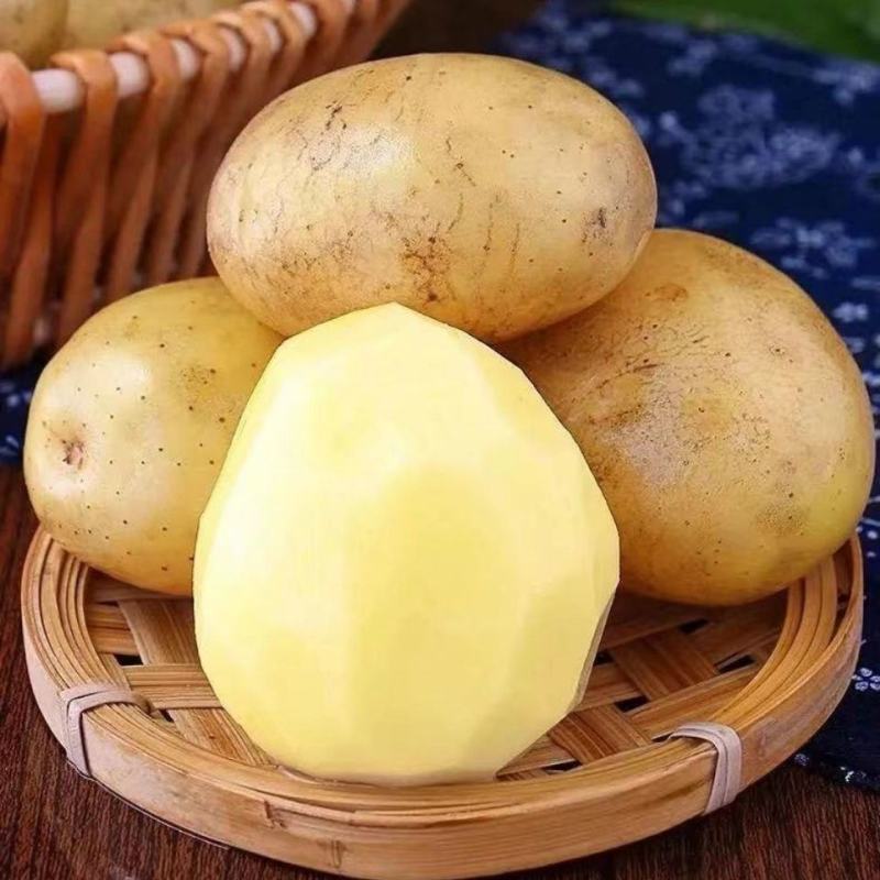 黄心土豆 马铃薯 洋芋 湖北土豆 产地一手货源，量大从优
