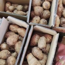 红香芋，红芽芋头，芋母，香糯粉面，黑土地口感更好，欢迎