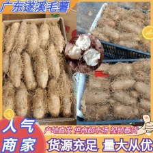正宗湛江原产区天然毛薯。价格美丽。