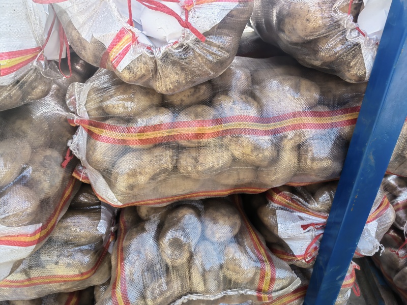 精品高次，微瑕疵，适合，学校，大集，另售，高品食堂。