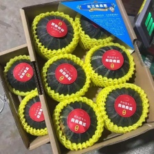 【实力商家】南阳精品蜜本南瓜 产地大量供应 保质代发全国