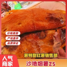 红薯，龙薯九，龙薯九大头，精品龙薯九