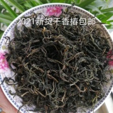 河北省秦皇岛市红油香椿芽二茬大量上市，2块钱一斤，