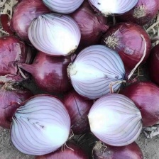 新鲜黄皮洋葱精选现挖白肉脆甜黄皮大洋葱葱头蔬菜整箱包邮