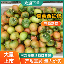 串番茄