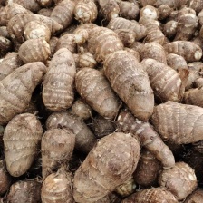 山东惠商果蔬产地