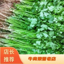 唐山铁杆青新菜