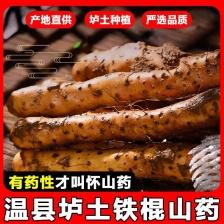 焦作温县铁棍山药  大量有货品质保证 产地直发