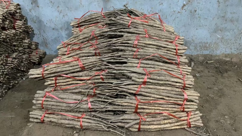 焦作温县铁棍山药  大量有货品质保证 产地直发