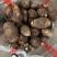 《实力》芋头产地 豆包芋头大量上市 产地常随到随装