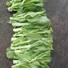 精品板兰苔大量上货