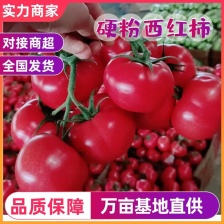 赵振江蔬菜批发店
